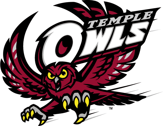 Temple Owls 1996-Pres Primary Logo t shirts iron on transfers